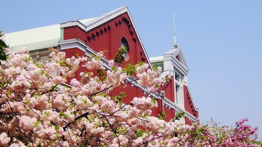 Cherry blossoms at the Osaka Mint Bureau. Source: Japan Guide https://www.japan-guide.com/e/e4008.html