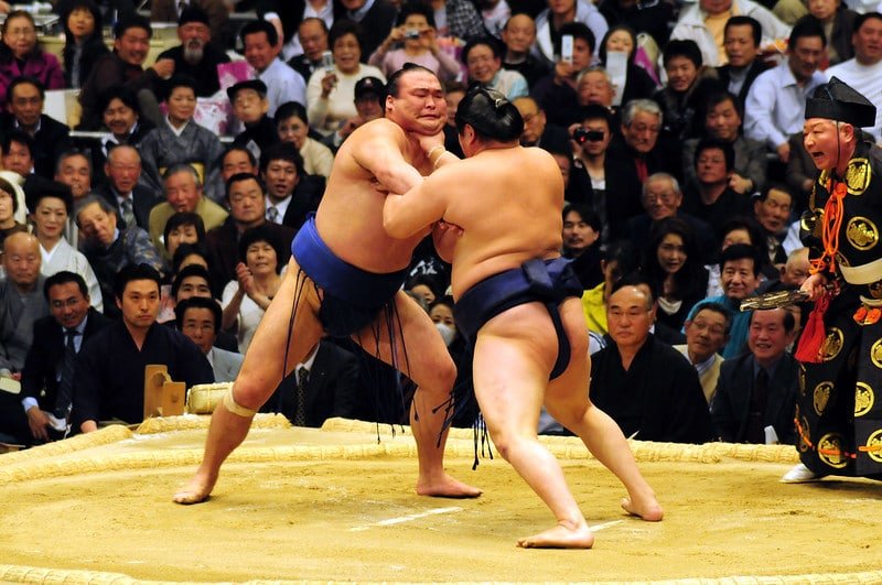 sumo wrestling tour osaka