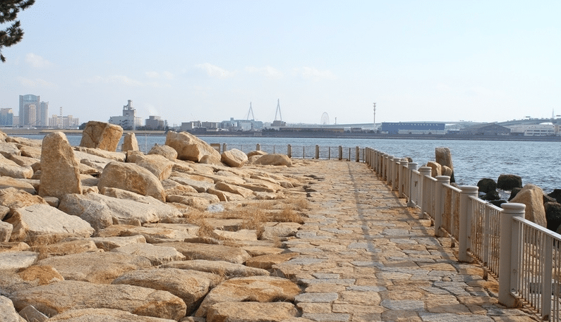 Ultimate Fishing Guide 2: Osaka Bay's 8 Secret Spots for Veteran Anglers